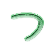 018