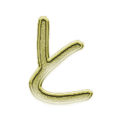 020