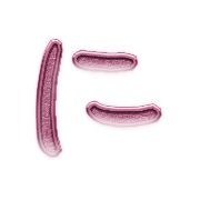 022