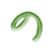 025