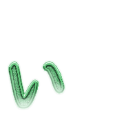 048