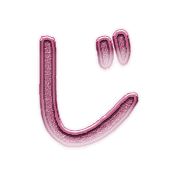 062