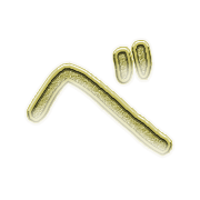 074