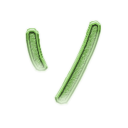 095