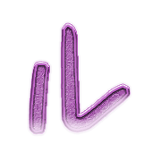 121