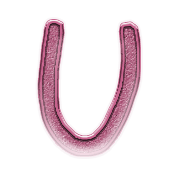 182