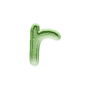 205