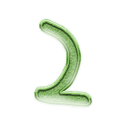 215