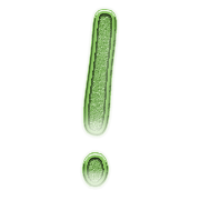 225