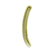 234