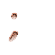 243