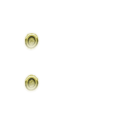 244