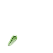 245