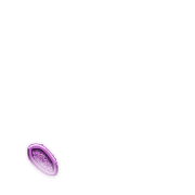 256