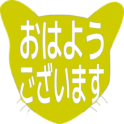 304
