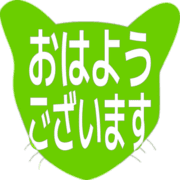 304