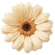 019