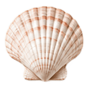 031