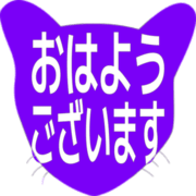 304