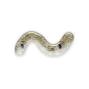 063