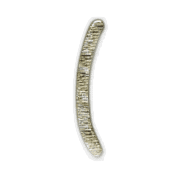 073