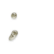 082