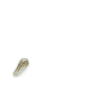 084