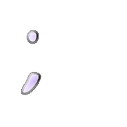 082
