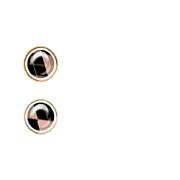244