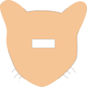 251