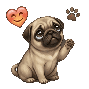 003