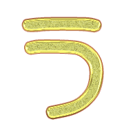 003