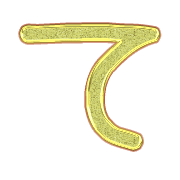 019