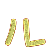 121
