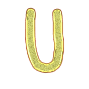 182