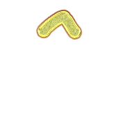 231