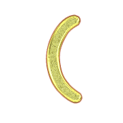 234