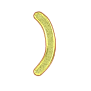 235