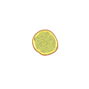 253
