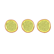 257