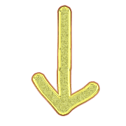 261