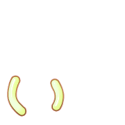 048