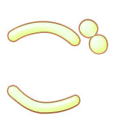 060