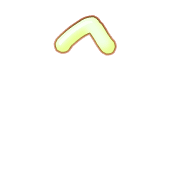 231