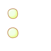 244