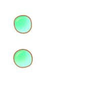 244