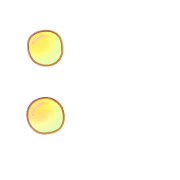 244