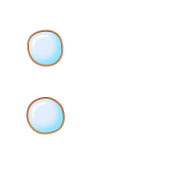 244