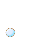 246