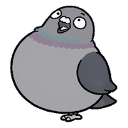 005